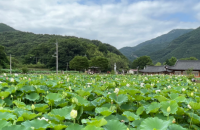 썸네일 5