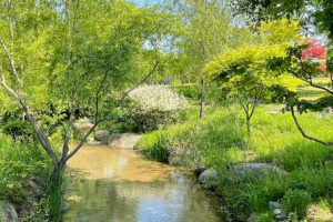 고요한 시골 연못에서의 사색